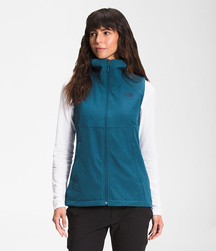 Chaleco The North Face Mujer Azules Shelbe Raschel Hooded 93082WQTV